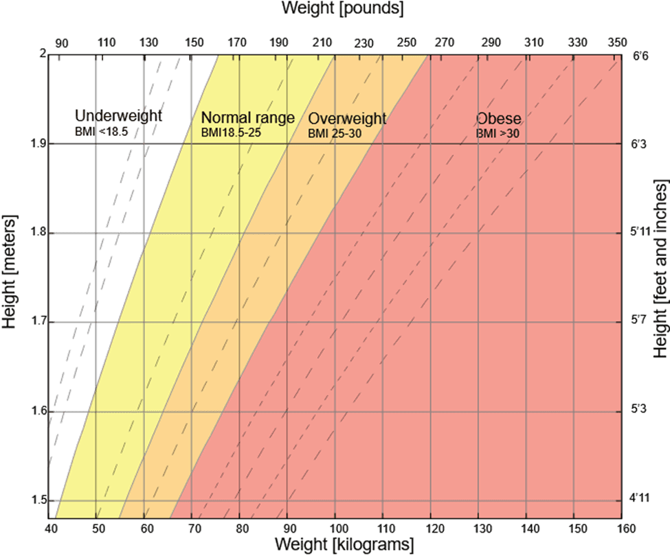 Ideal Body Weight Chart - BMI Categories and Weight Ranges