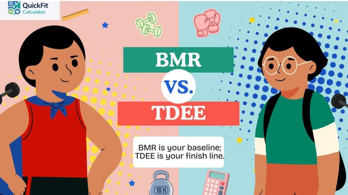 BMR vs. TDEE